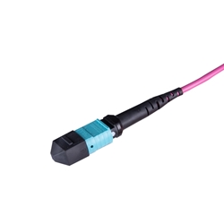 MPO/MTP®  Patch Cables